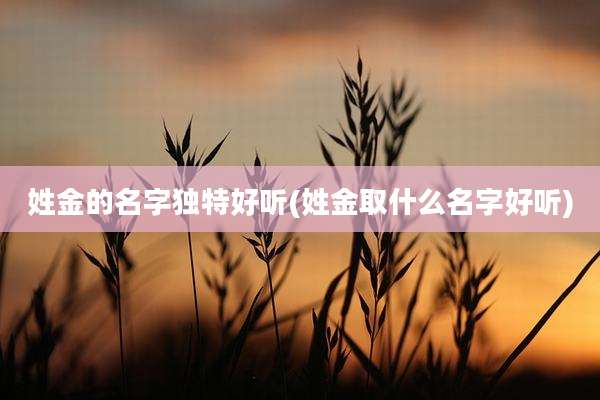 姓金的名字独特好听(姓金取什么名字好听)