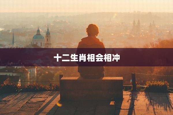 十二生肖相会相冲