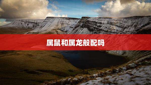 属鼠和属龙般配吗