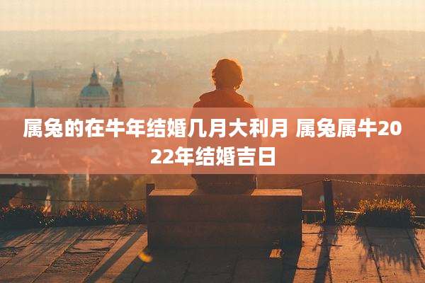 属兔的在牛年结婚几月大利月 属兔属牛2022年结婚吉日