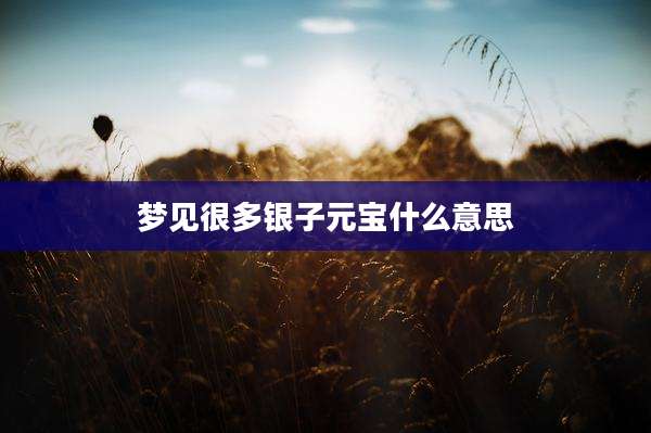 梦见很多银子元宝什么意思