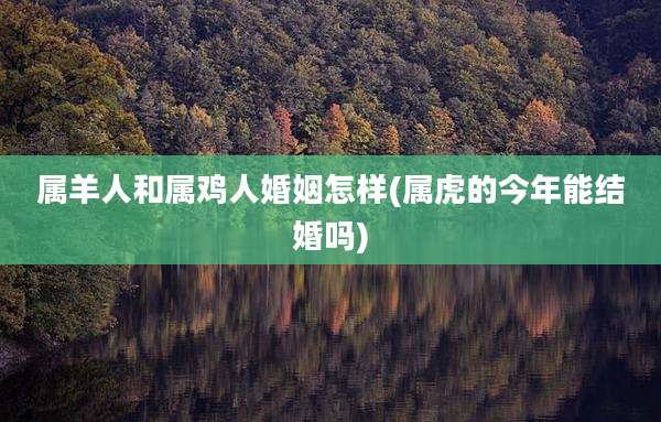 属羊人和属鸡人婚姻怎样(属虎的今年能结婚吗)