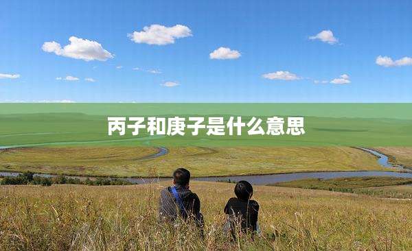 丙子和庚子是什么意思