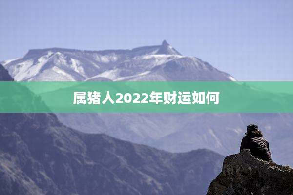 属猪人2022年财运如何