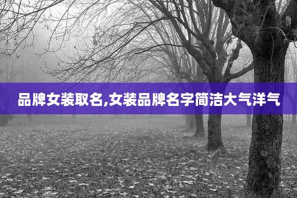 品牌女装取名,女装品牌名字简洁大气洋气
