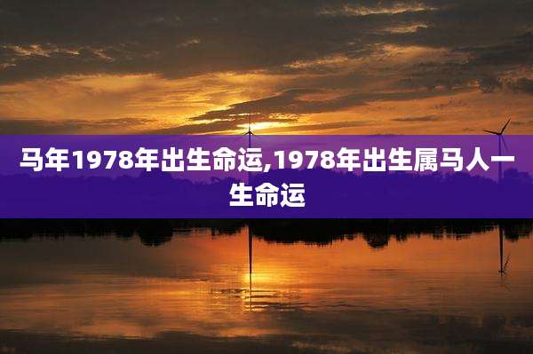 马年1978年出生命运,1978年出生属马人一生命运