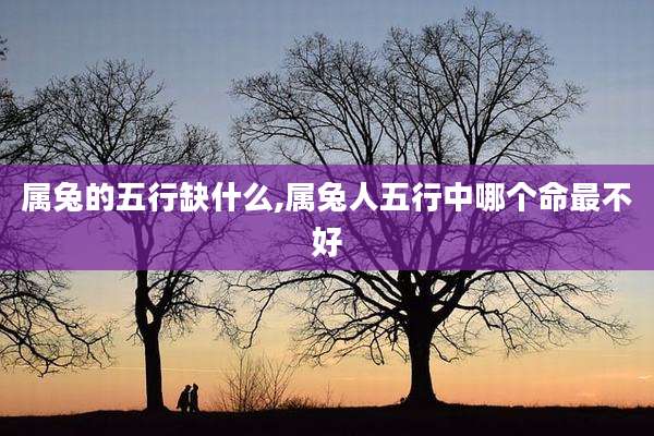 属兔的五行缺什么,属兔人五行中哪个命最不好