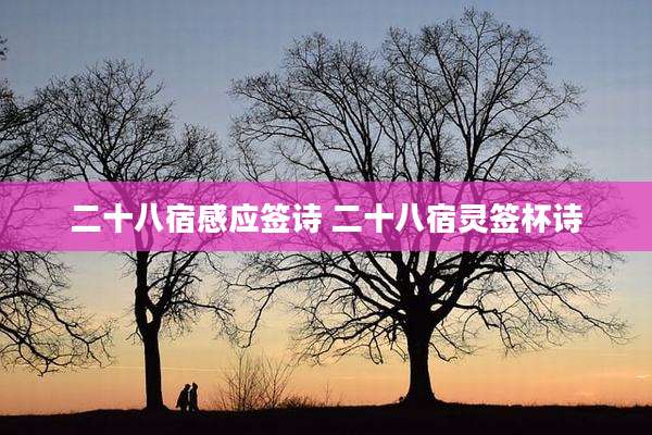 二十八宿感应签诗 二十八宿灵签杯诗
