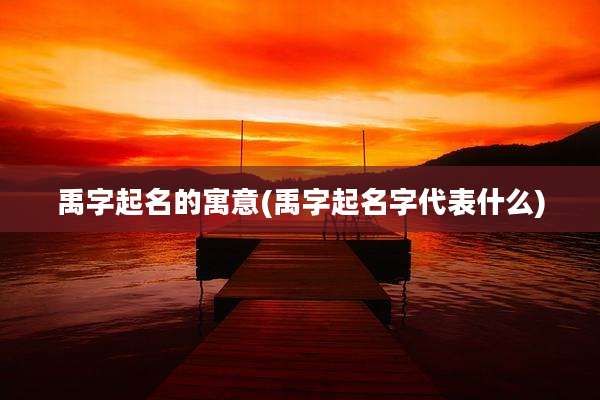 禹字起名的寓意(禹字起名字代表什么)