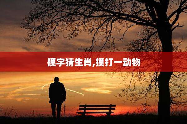 摸字猜生肖,摸打一动物