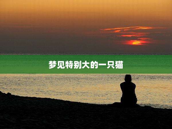 梦见特别大的一只猫