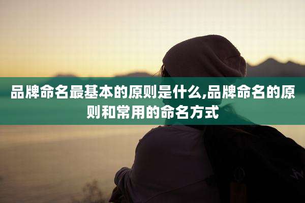 品牌命名最基本的原则是什么,品牌命名的原则和常用的命名方式