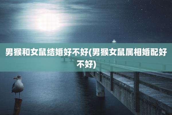 男猴和女鼠结婚好不好(男猴女鼠属相婚配好不好)
