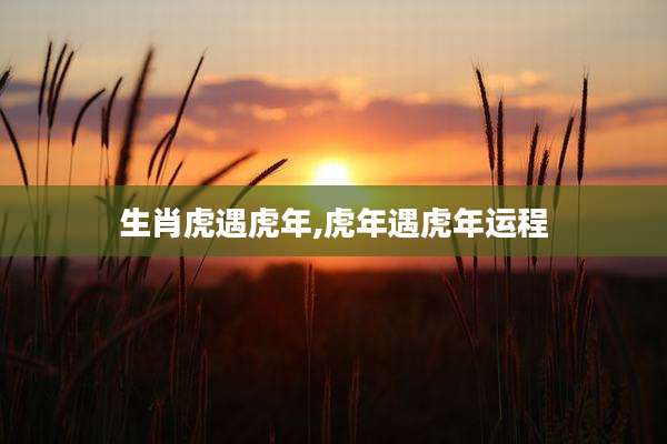 生肖虎遇虎年,虎年遇虎年运程