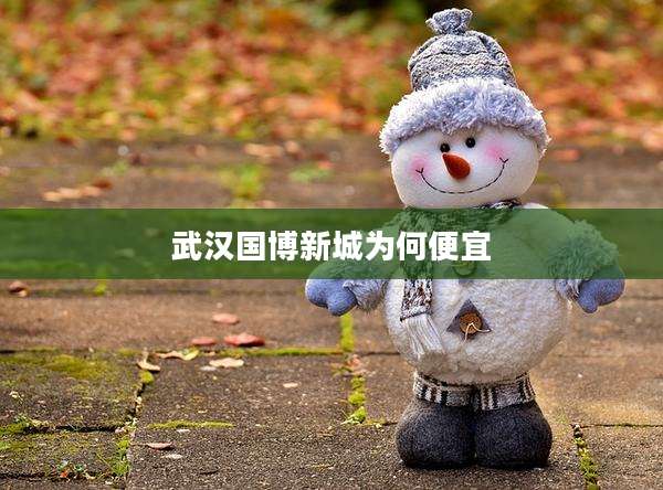 武汉国博新城为何便宜