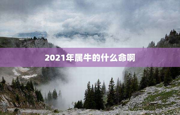 2021年属牛的什么命啊