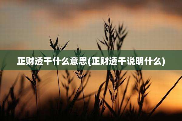 正财透干什么意思(正财透干说明什么)