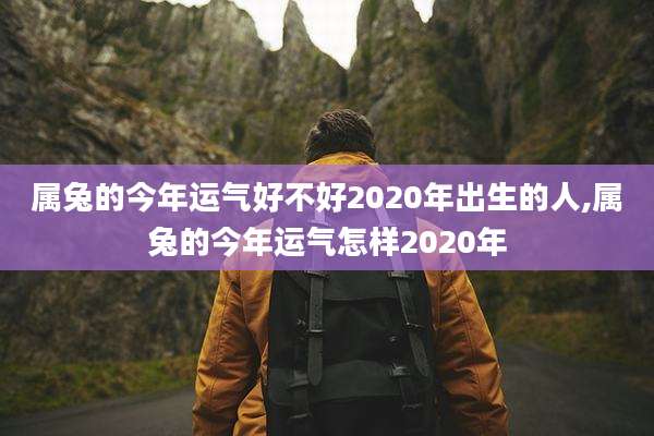 属兔的今年运气好不好2020年出生的人,属兔的今年运气怎样2020年