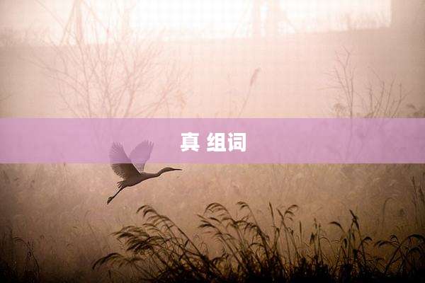 真 组词