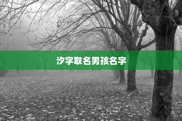 汐字取名男孩名字