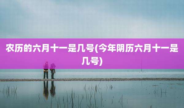 农历的六月十一是几号(今年阴历六月十一是几号)