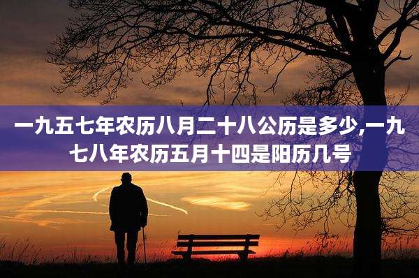 一九五七年农历八月二十八公历是多少,一九七八年农历五月十四是阳历几号