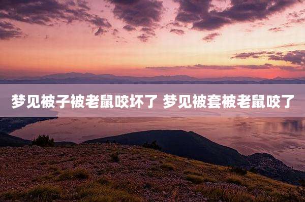 梦见被子被老鼠咬坏了 梦见被套被老鼠咬了