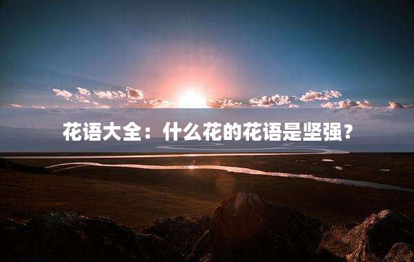 花语大全:什么花的花语是坚强?