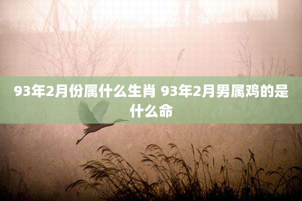 93年2月份属什么生肖 93年2月男属鸡的是什么命