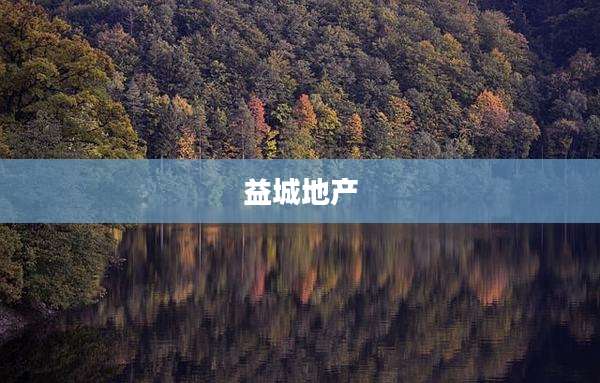 益城地产