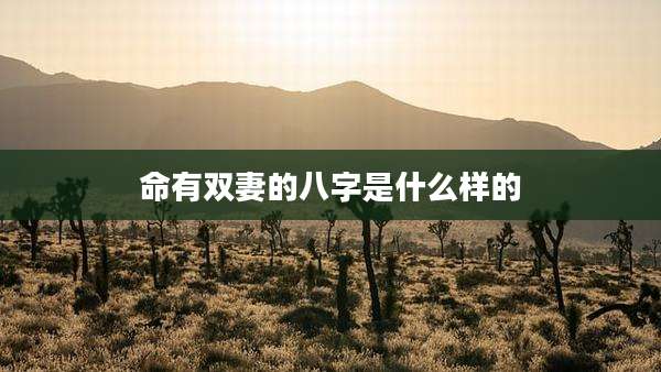 命有双妻的八字是什么样的