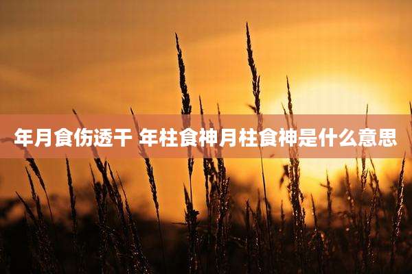 年月食伤透干 年柱食神月柱食神是什么意思