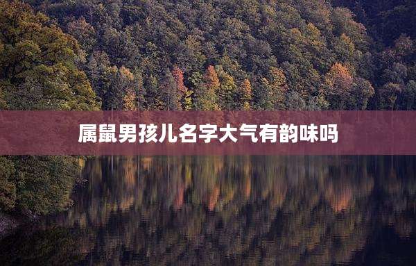 属鼠男孩儿名字大气有韵味吗