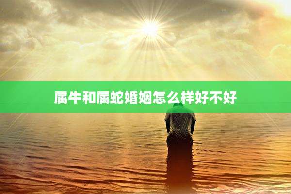 属牛和属蛇婚姻怎么样好不好