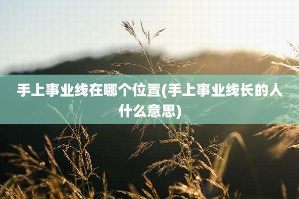 手上事业线在哪个位置(手上事业线长的人什么意思)