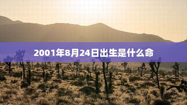 2001年8月24日出生是什么命