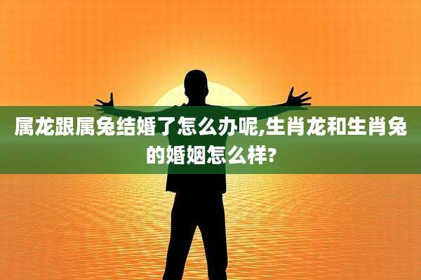 属龙跟属兔结婚了怎么办呢,生肖龙和生肖兔的婚姻怎么样?