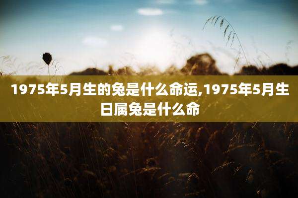 1975年5月生的兔是什么命运,1975年5月生日属兔是什么命