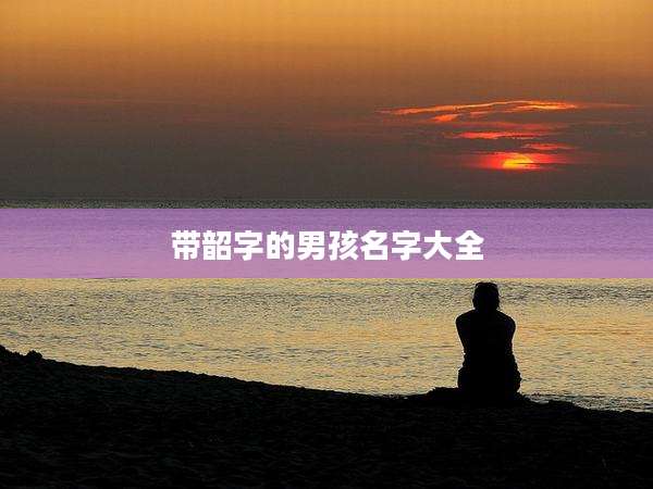 带韶字的男孩名字大全