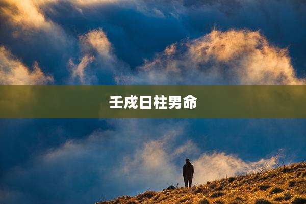 壬戍日柱男命