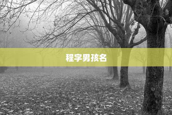 程字男孩名