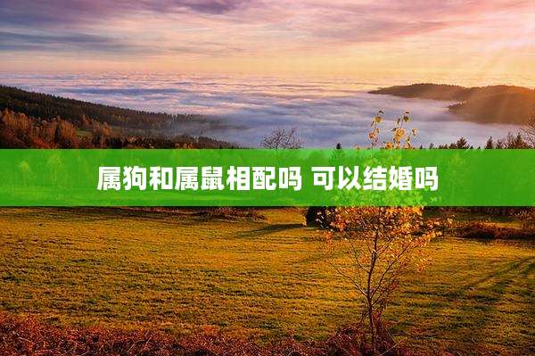 属狗和属鼠相配吗 可以结婚吗