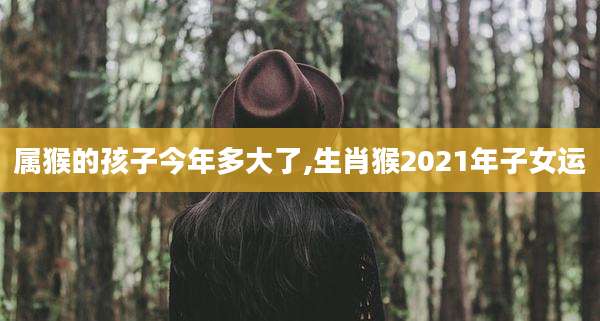 属猴的孩子今年多大了,生肖猴2021年子女运