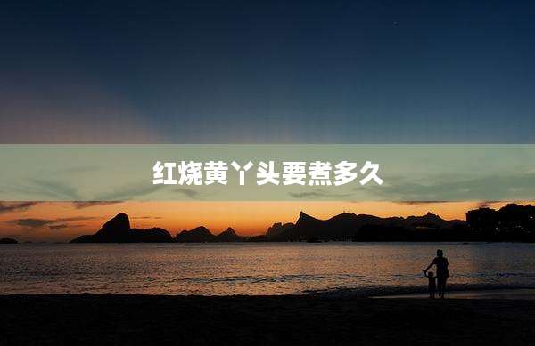 红烧黄丫头要煮多久