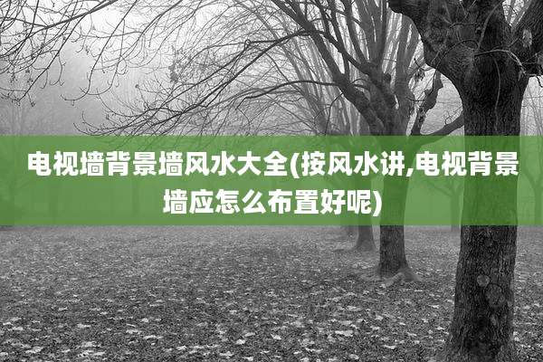 电视墙背景墙风水大全(按风水讲,电视背景墙应怎么布置好呢)