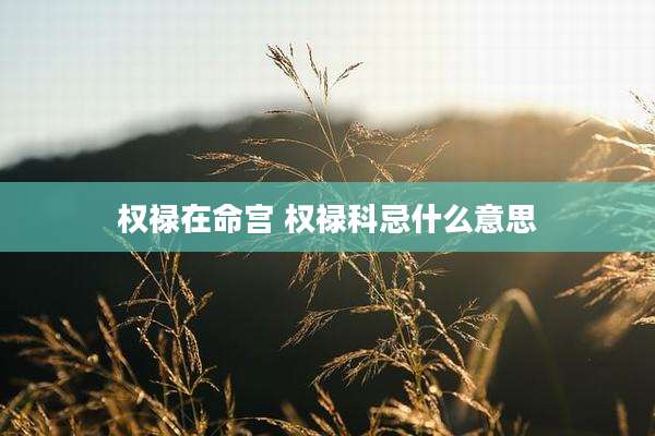 权禄在命宫 权禄科忌什么意思