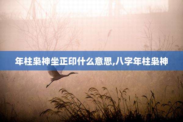 年柱枭神坐正印什么意思,八字年柱枭神