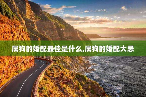 属狗的婚配最佳是什么,属狗的婚配大忌