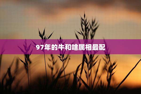 97年的牛和啥属相最配