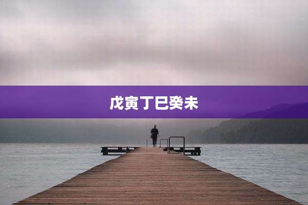 戊寅丁巳癸未